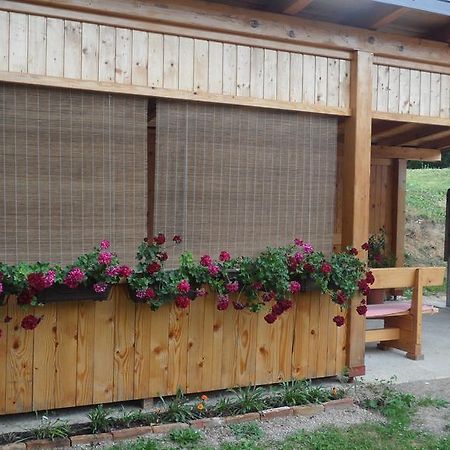 Apartment Rendulic Rakovica Kültér fotó
