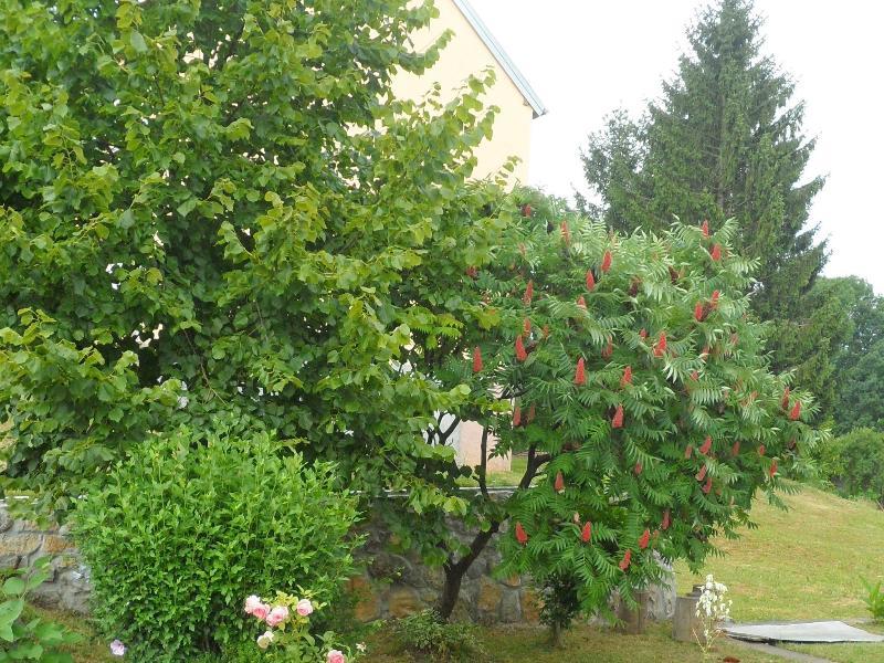 Apartment Rendulic Rakovica Kültér fotó